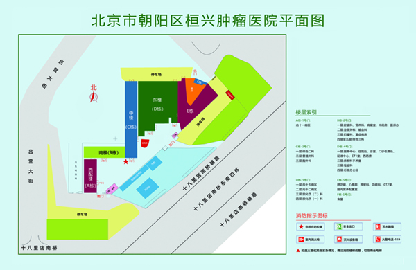 大鸡巴操做爱免费看北京市朝阳区桓兴肿瘤医院平面图